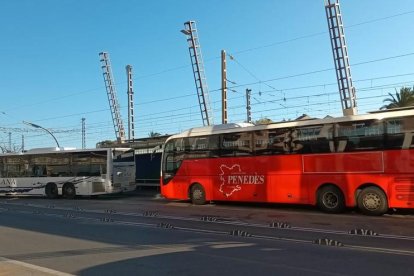 Piden un autobús que conecte los puntos de interés general.