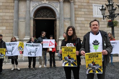 Representantes de las plataformas anuncian su manifestación.