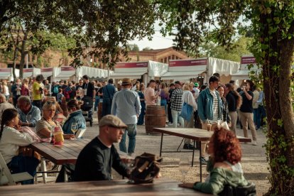 Por la 28ª edición de la Feria del Vino de Falset han pasado unas 35.000 personas.