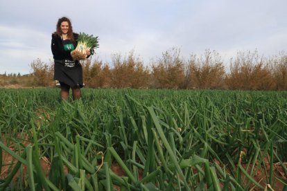 La pastissera Gessamí Caramés mostra el primer manat de calçots de la temporada a Valls.