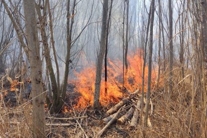 Incendi al bosquet de l'estany d'Ivars i Vila-sana.