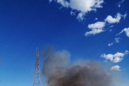 Els Bombers han pogut controlar el foc abans de que arribés a zones més perilloses.