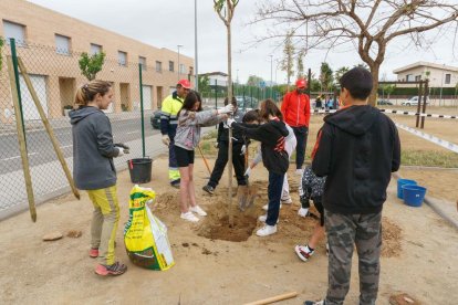 La tercera plantada escolar del Morell se ha llevado a cabo en la plaza Maria Mercè Marçal.