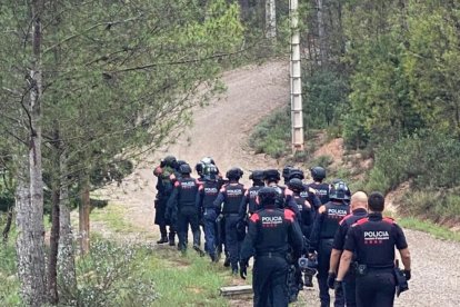 Dipositiu dels Mossos per buscar l'home fugit que gestionava la plantació de marihuana a Rajadell.