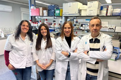 Parte del equipo de investigadores del Grupo de Investigación DIAMET de la IISPV: Lidia Cedó, Teresa Villanueva, Sonia Fernandez-Veledo y Joan Vendrell.