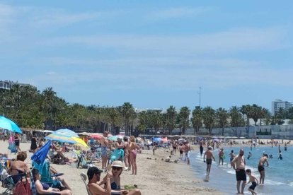 La platja de Ponent ahir al matí, on s'ha obert també el servei de salvament i socorrisme aquest cap de setmana.