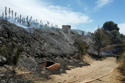 El fuego de Flix ha quemado 900 metros cuadrados de vegetación de ribera.