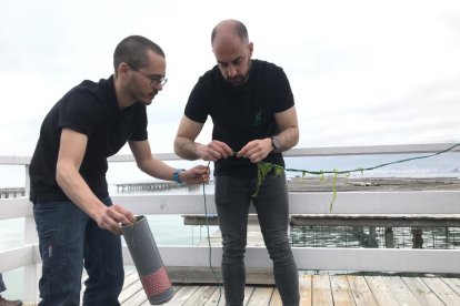 Acuicultores trabajando con las cuerdas y algas en el Delta del Ebro.