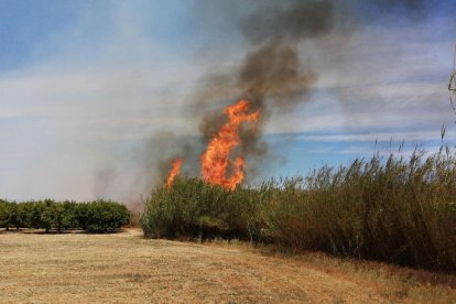 Imagen del incendio de Aldover que ha activado siete unidades terrestres y dos aviones.