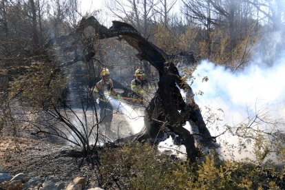 Els bombers treballant en l'incendi al Perelló.