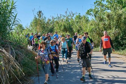 Transcurs de la caminata.