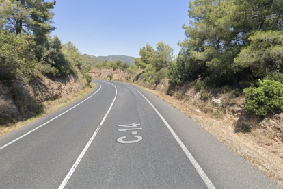 Tramo de la carretera cercano al punto del accidente.