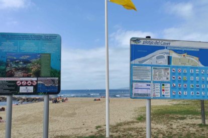 Imagen de los nuevos paneles informativos sobre posidonia en la playa del Cavet de Cambrils.