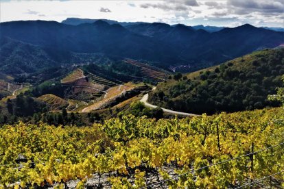 El vino premiado se produce gracias a la cosecha de la finca familiar de Porrera.