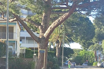 Imagen de uno de los tramos reparados de la avenida Joan XXIII de Cambrils.