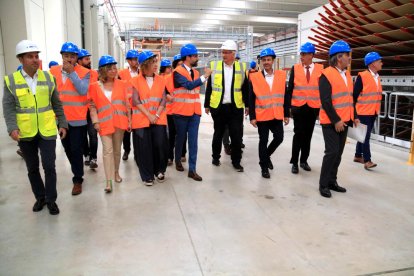 Los consellers de Empresa y Territori y los alcaldes de Tortosa y l'Aldea visitando la planta de Kronospan en Tortosa.