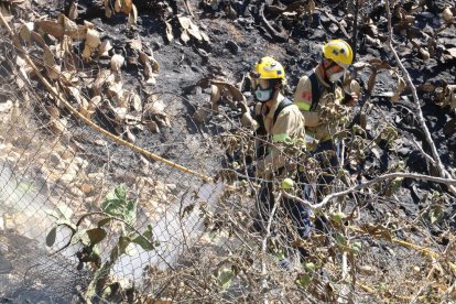 Dos bomberos acaban de remojar una zona que todavía humea por el fuego de Portbou.