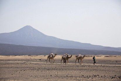 Fotografía de archivo fechada en 2011 de un camellero en el desierto de Danakil, cerca del volcán Erta Ale en la región de Afar, en el norte de Etiopía