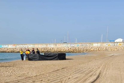 El cos del nadó ha aparegut a la platja Costa Daurada de Roda.