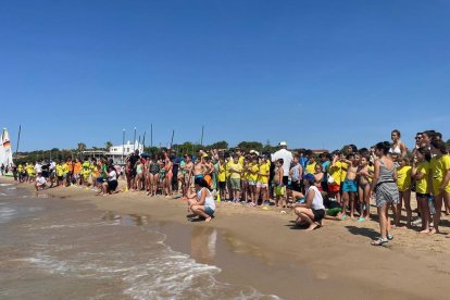 El Día de Playa se ha centrado en una recogida de residuos en la Llarga de Tarragona y su clasificación.