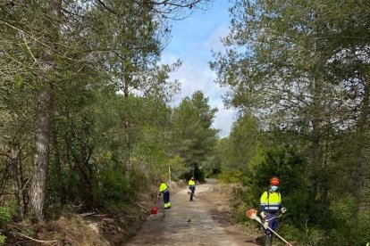 imatge d'un camí municipal, on operaris hi fan tasques de manteniment.