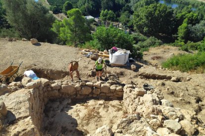 Pla general de les excavacions de la URV al poblat ibèric de l'Assut de Tivenys.