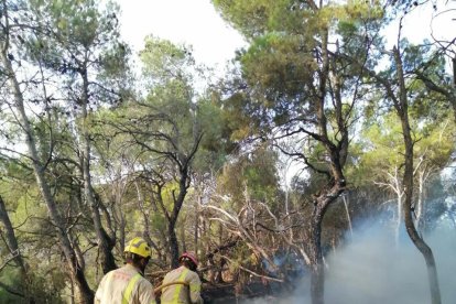 Imatge d'un dels dos incendis declarats a la Conca de Barberà.