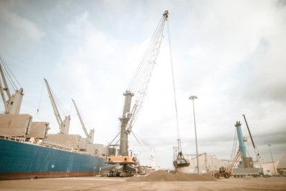 Grúas del puerto de Tarragona trabajando en el movimiento de cereales.