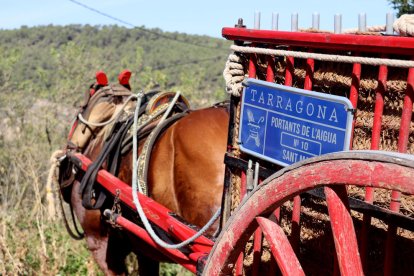 Uno de los carruajes que han transportado el agua de San Magí desde las Fuentes de la Brufaganya hasta Tarragona.