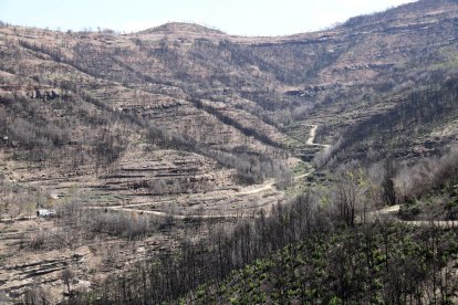 Una finca cremada pel foc.