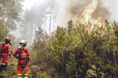 Efectius de la UME en labors d'extinció de l'incendi forestal que afecta l'illa de Tenerife, aquest dissabte en els voltants del municipi de Santa Úrsula.