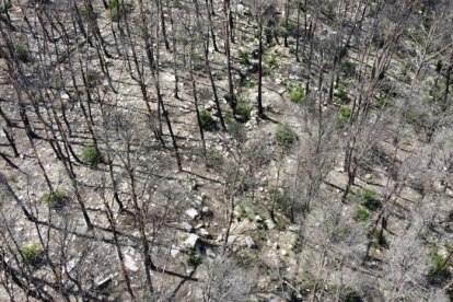 Fotografia realitzada per un dron de la zona cremada de Corbera d'Ebre