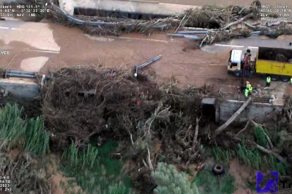 Operaris treballen per treure branques de la C-12 entre Amposta i Tortosa.