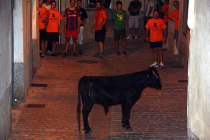 Moment dels correbous d'aquest dissabte a Alfara de Carles on els participants han lluit samarretes on es reivindicava la tradició taurina del poble.