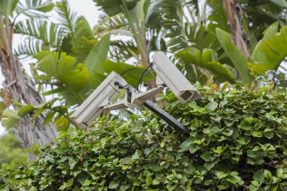 Imatge d'arxiu d'un equip de videovigilància a Cala Romana amagat entre la vegetació.