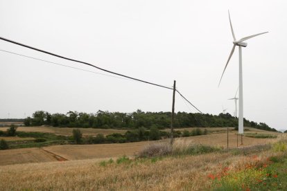 Sembrado donde se ubicará la central fotovoltaica Bcn 2, a los pies del parque eólico Les Forques, en Belltall (Conca de Barberà).