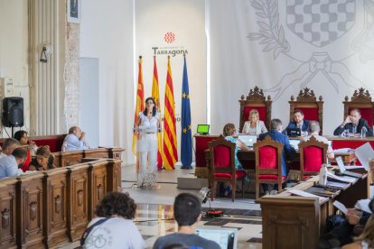 La consellera de Neteja Pública, Sonia Orts, durant la seva intervenció en la sessió del Consell Plenari.