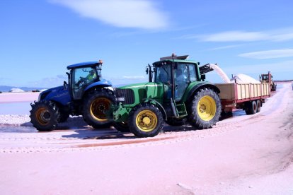 Máquinas y tractores recogiendo la sal a las salinas de la Trinidad, en el delta del Ebro.