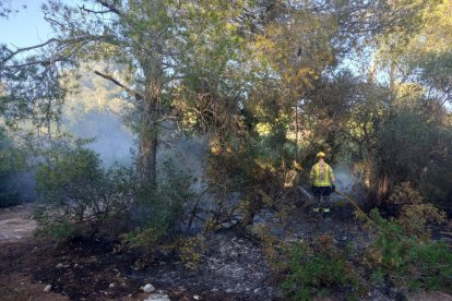 Imatge de l'incendi de vegetació a la zona de les Planes de Mont-roig del Camp.