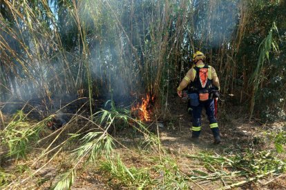 Bomberos extinguiendo el fuego.