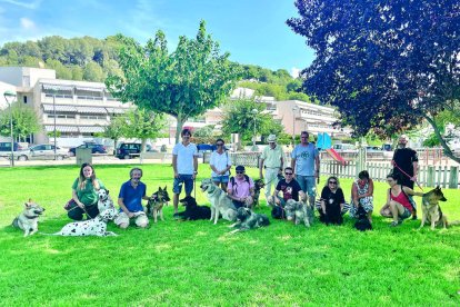 Habitualment, es reuneixen a la plaça Pare Ernesto, però proposen com a solució adequar el solar de les pistes de bàsquet.