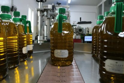 Garrafas de aceite de oliva virgen extra de la cooperativa de La Palma d'Ebre acabadas de envasar.