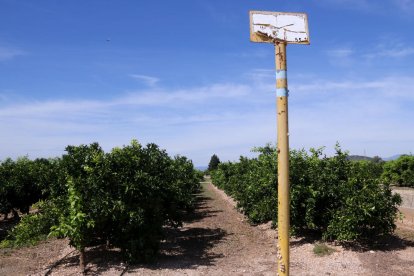 Hito del gasoducto terrestre del proyecto Castor entre la planta de operaciones y la costa, en el término de Vinaròs, en medio de un campo de cítricos.