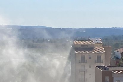 El humo generado por el incendio.