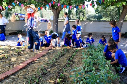 Alumnes de l'Escola 21 d'Abril de l'Aldea trballant al seu hort ecològic, al pati del centre.