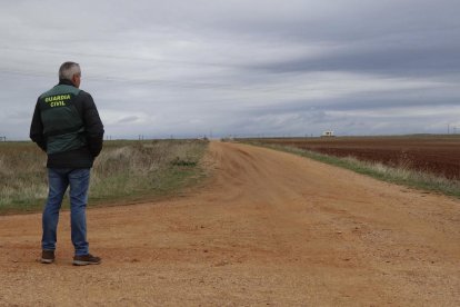 Agents de la Guàrdia Civil al lloc on una jove de Roales del Pa ha mort a causa de l'atac d'uns gossos de pasturatge