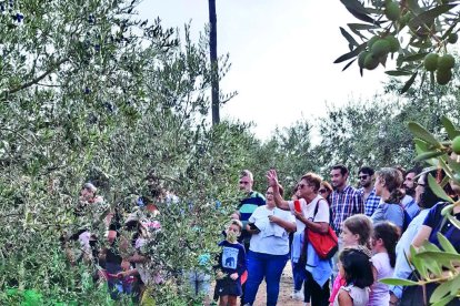 El sábado se hará en una ruta familiar por los olivos, que sigue el proceso desde el campo al molino.