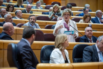 Teresa Pallarès es dirigeix al Ministre de Transports i Mobilitat Sostenible, Óscar Puente, a l'emicicle del Senat.