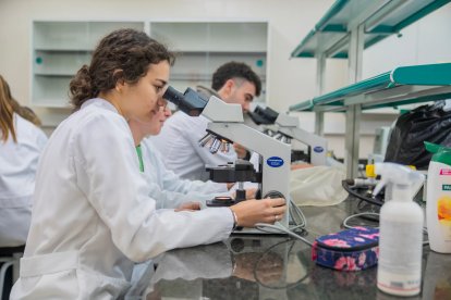 Instant del desenvolupament d’una classe als laboratoris de la Facultat de Medicina i Ciències de la Salut de la URV.