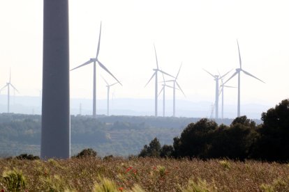 Alguns dels aerogeneradors instal·lats a l'altiplà de la Terra Alta.